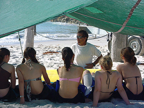 Ladies Surfing Lessons